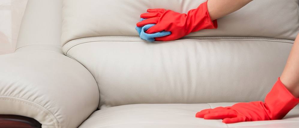 Cómo Limpiar un Sofá de Piel. Trucos y Consejos - Blog Mundoconfort